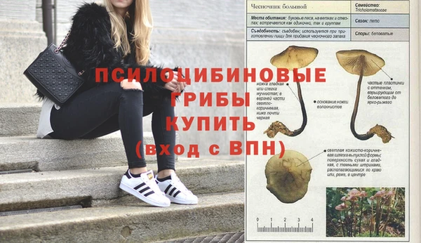 бутират Алексеевка