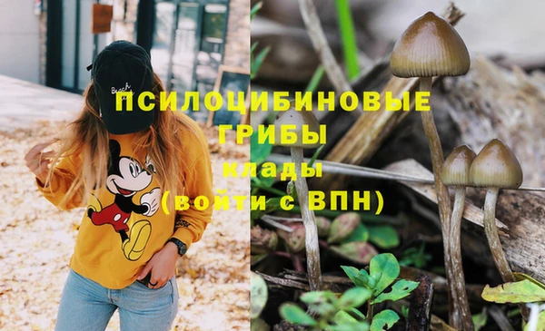 бутират Алексеевка