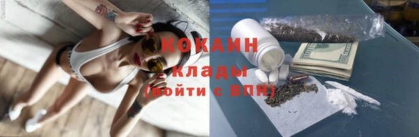 хмурый Алзамай