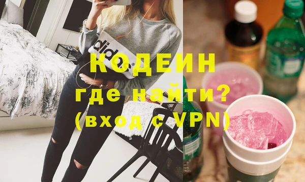 хмурый Алзамай