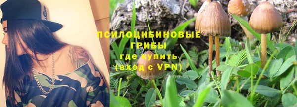 хмурый Алзамай