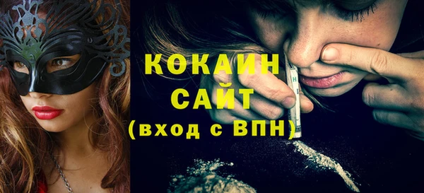 хмурый Алзамай