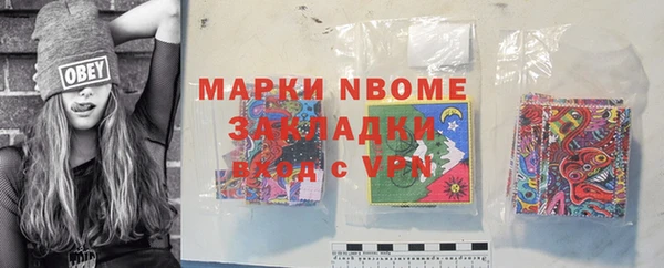 хмурый Алзамай