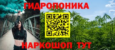 прущие крисы Новодвинск