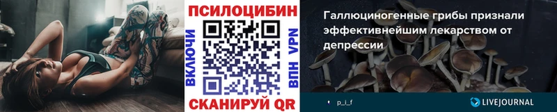 Псилоцибиновые грибы мухоморы  omg рабочий сайт  Шатура  купить наркотики сайты 