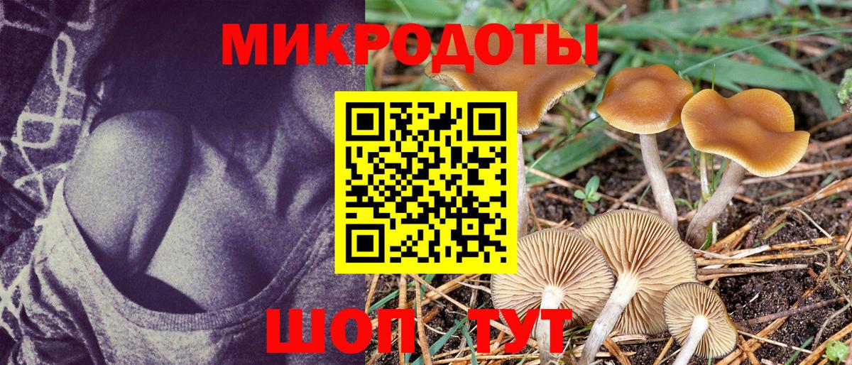 Шатура  как найти закладки  Вход с VPN  Галлюциногенные грибы Cubensis 