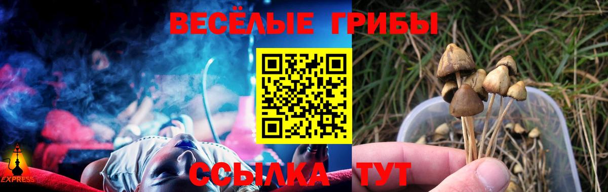 Галлюциногенные грибы Cubensis Шатура